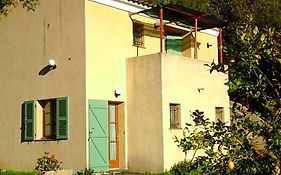 A Casa Di L'Alivu